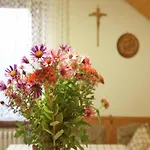 Modern In With Vineyards