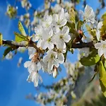 Modern In With Vineyards