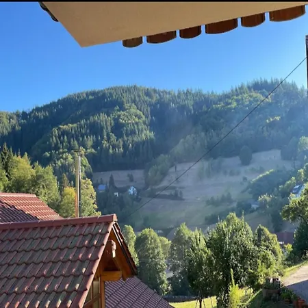 Modern In With Vineyards *