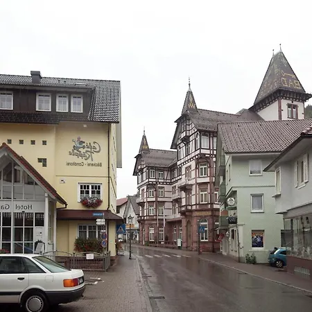 Apartamento Modern In With Vineyards Bad Peterstal-Griesbach