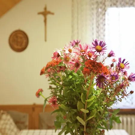 Modern In With Vineyards *