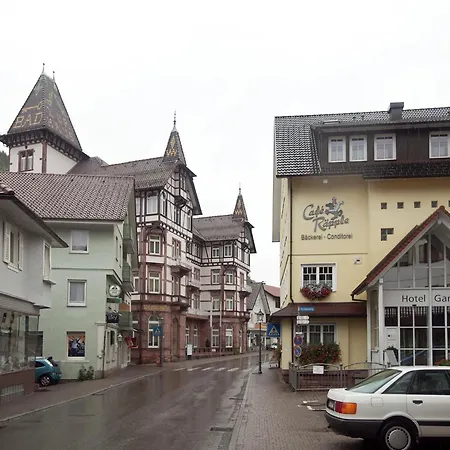 Modern In With Vineyards Apartamento Bad Peterstal-Griesbach