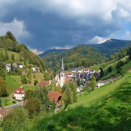 Modern In With Vineyards *