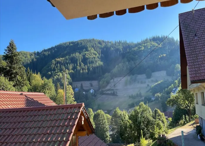 Modern In With Vineyards *