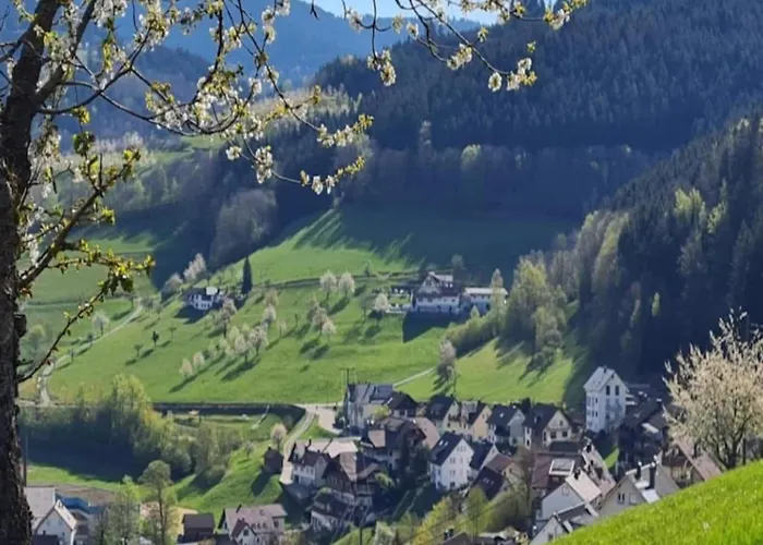 Modern In With Vineyards