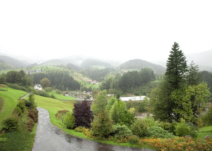 Modern In With Vineyards * 巴特彼得斯塔尔-格里斯巴赫