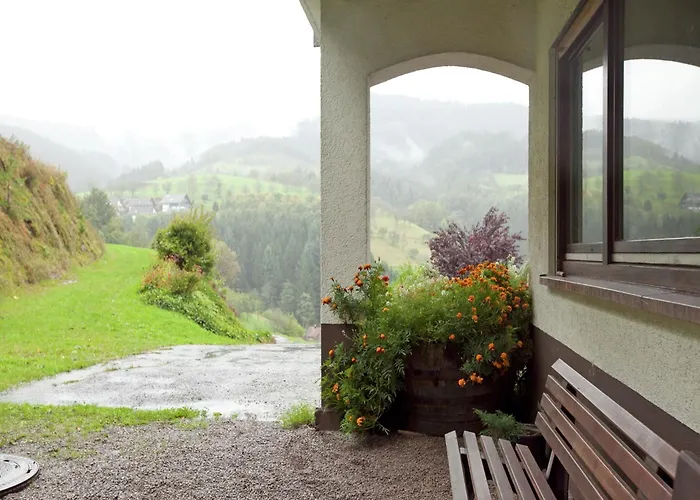 Modern In With Vineyards