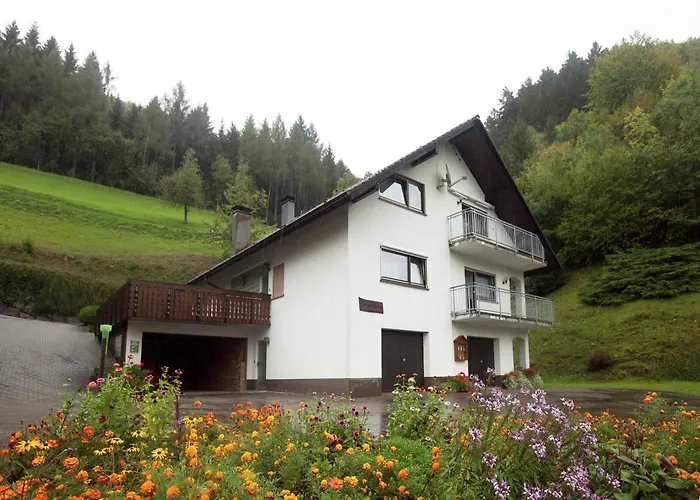 Modern In With Vineyards * 巴特彼得斯塔尔-格里斯巴赫